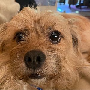 Meet your Posher, Skyler